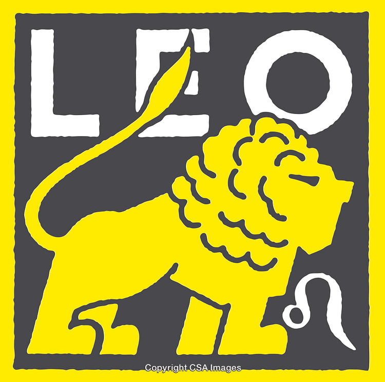 Bold Colorful Line Art Lion with Zodiac Leo Symbol in Modern Design