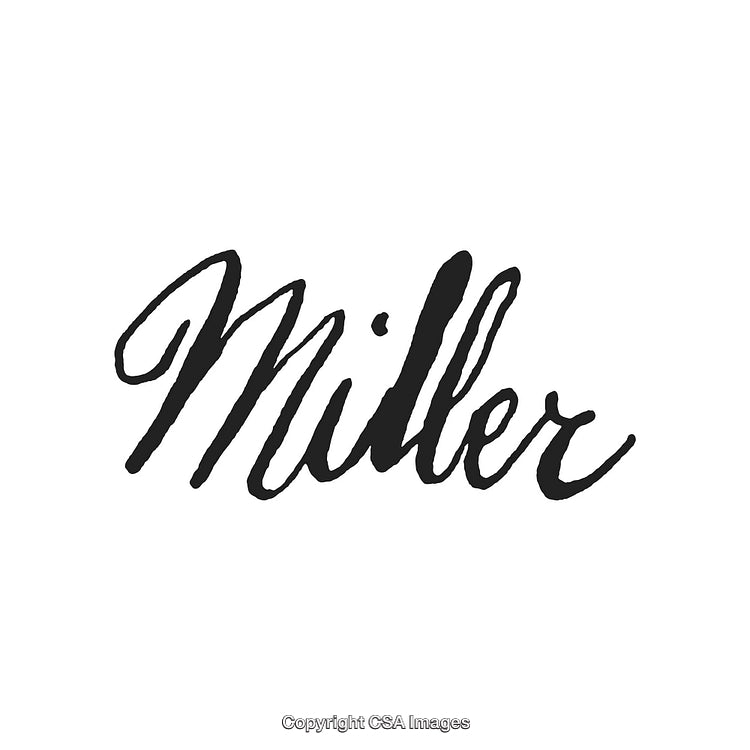 Elegant Black Script Typography on White Background with Stylish Cursive Lettering