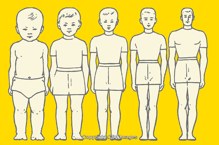 Illustration of Human Growth Stages Depicted in Color Line Art