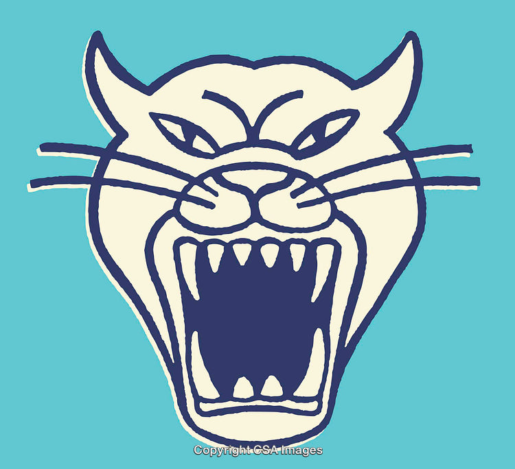 Colorful Line Art of a Fierce Screaming Panther