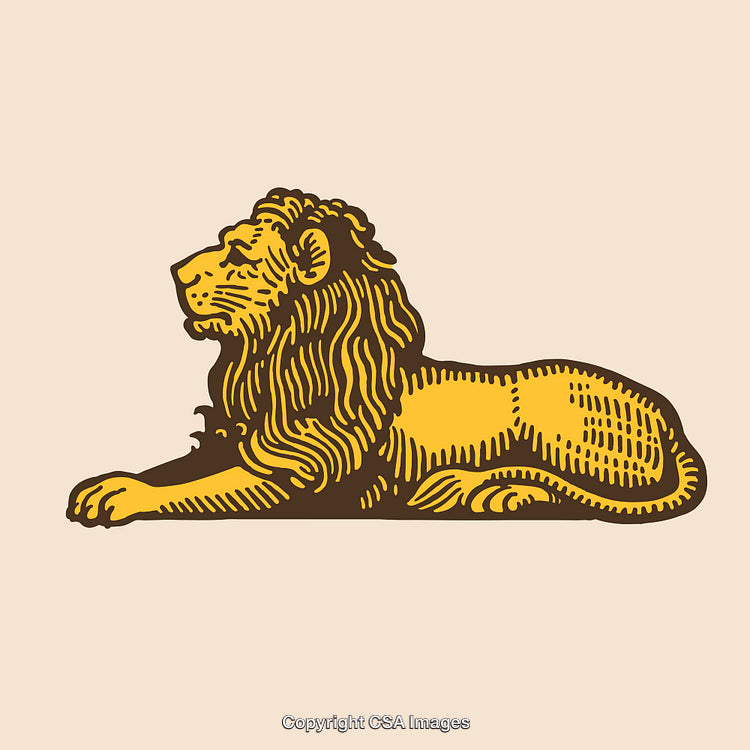 Regal Lion Illustration in Golden Hue Line Art with Detailed Features