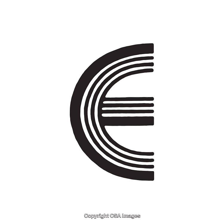Stylized Black and White Minimalist Letter E Design
