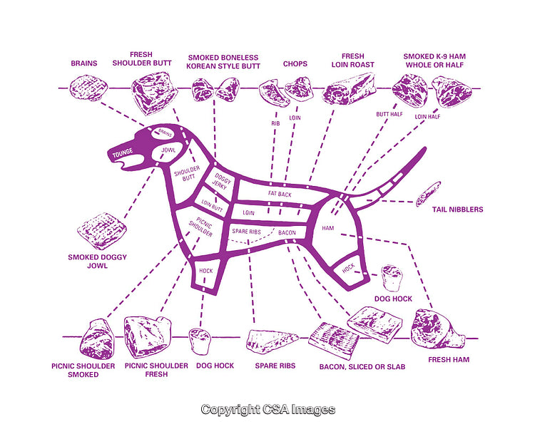 Dog-Themed Butcher Diagram Showcasing Stylized Partition of Cuts