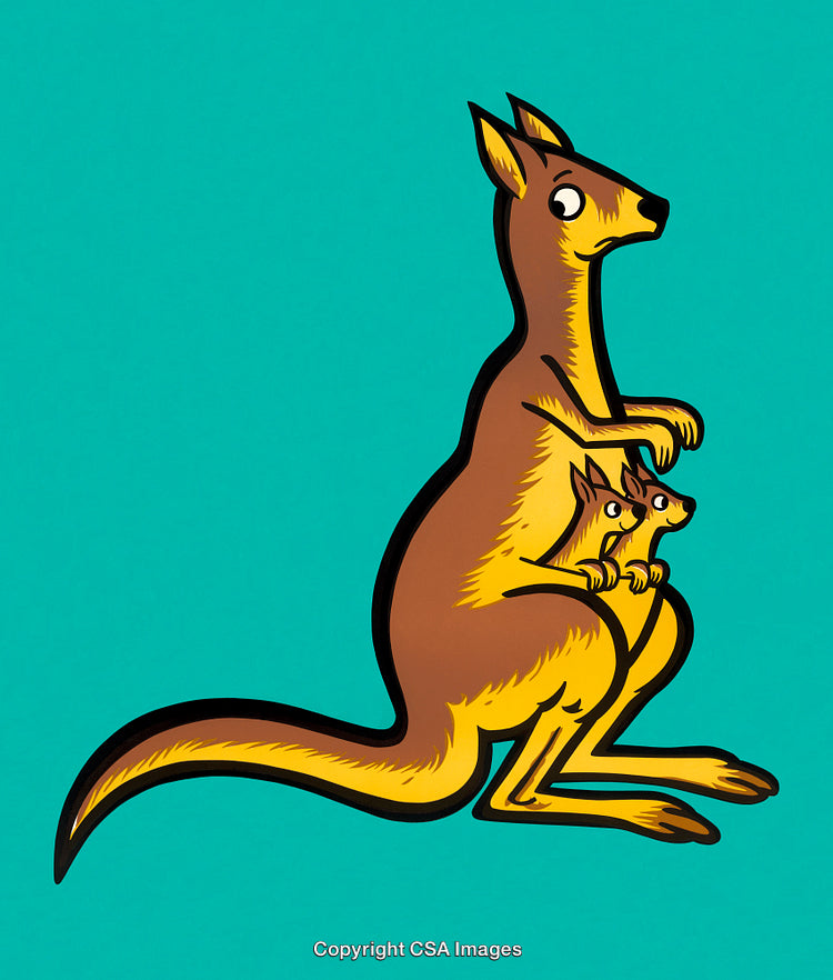 Illustration of Mother Kangaroo with Two Joeys on Vibrant Teal Background