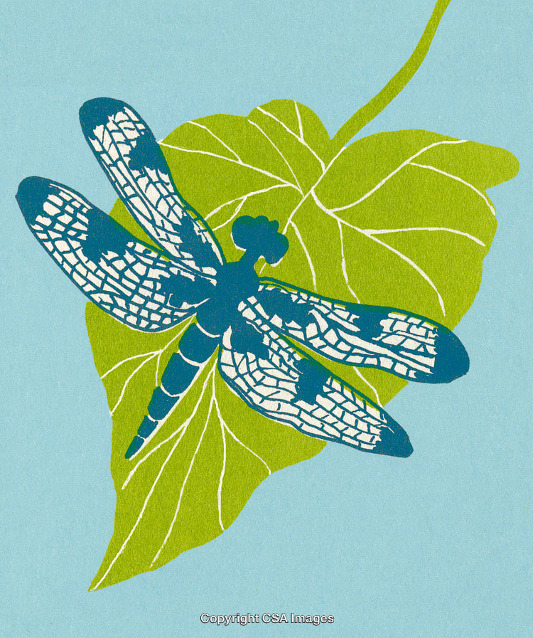 Dragonfly on Green Leaf with Textured Wings and Blue Background Art
