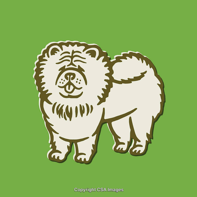 Adorable Line Art Illustration of a Chow Chow Dog on Green Background