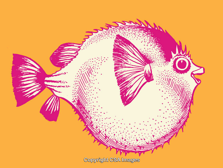 Colorful Line Art Drawing of a Puffer Fish on Vibrant Background
