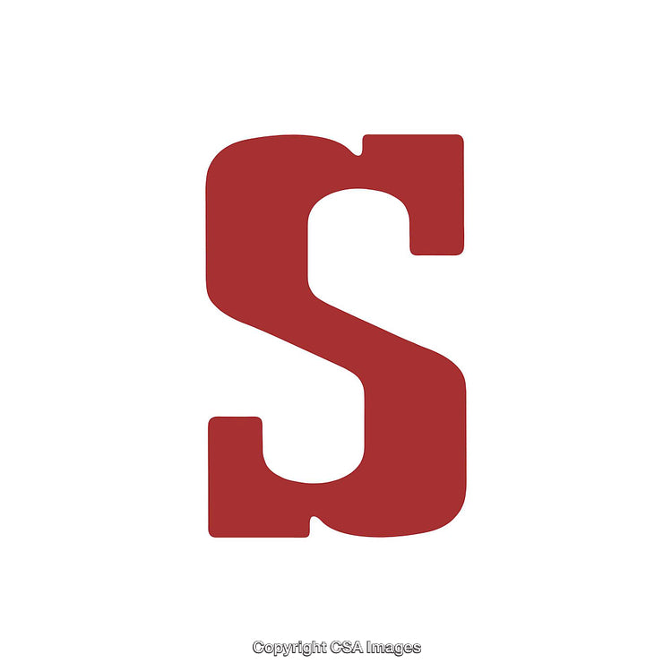Bold Red Serif Letter S on White Background