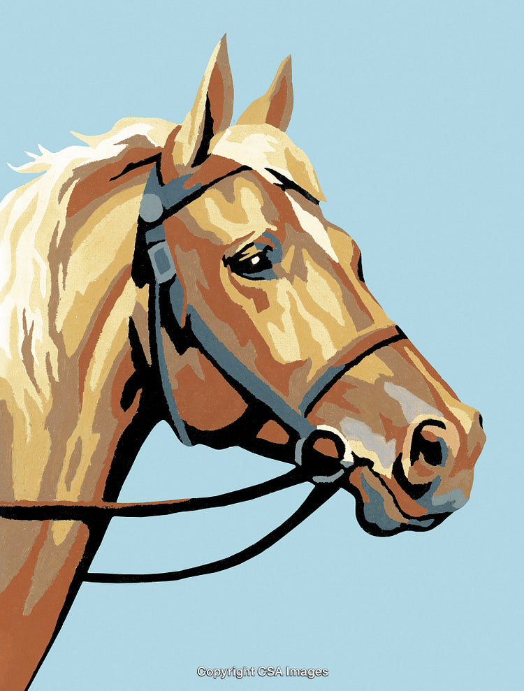 Realistic Horse Portrait in Paint by Numbers Art Style on Blue Background