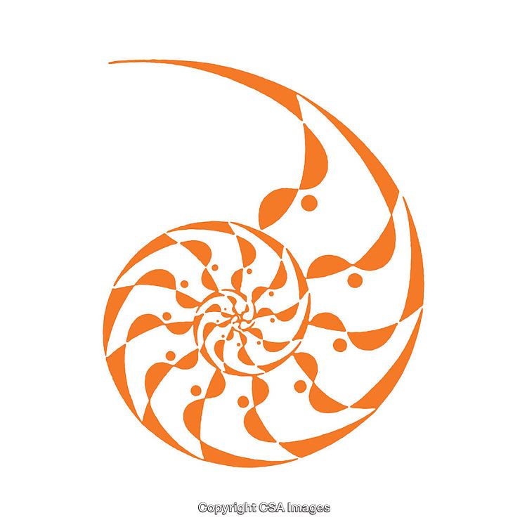 Abstract Orange Nautilus Shape Featuring Geometric Spiral Pattern