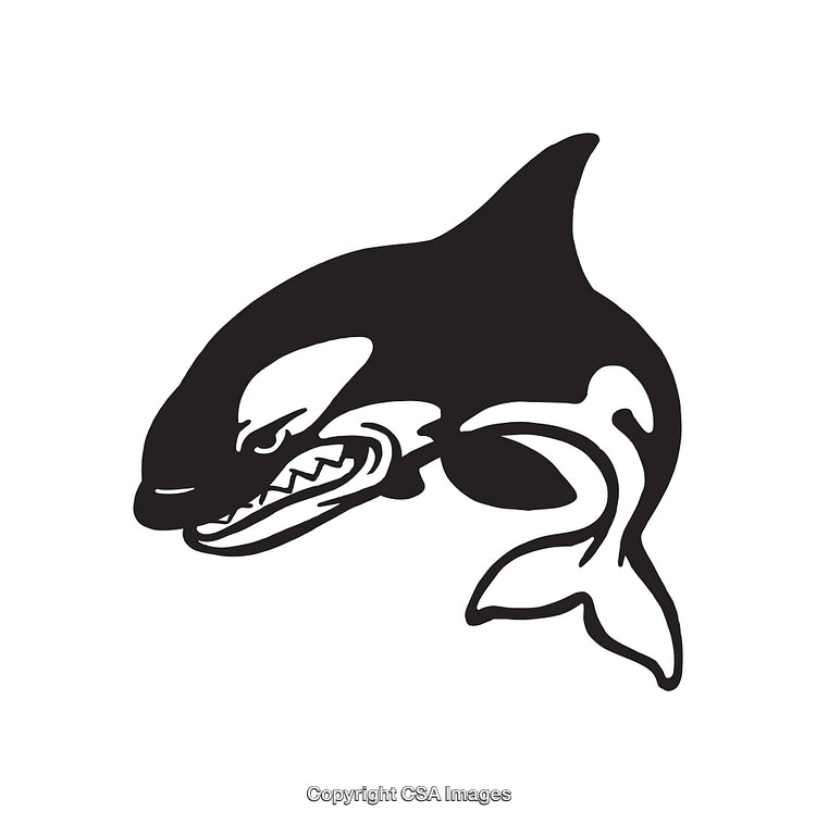 Stylized Black and White Orca Line Art Illustration