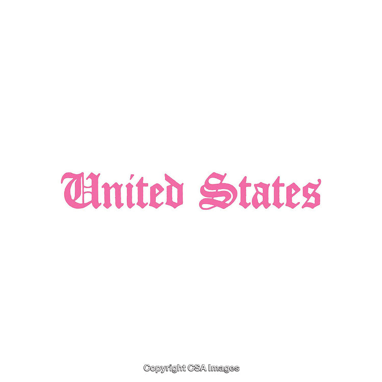 Pink Floral Lettering Featuring United States in Fancy Typeface Design