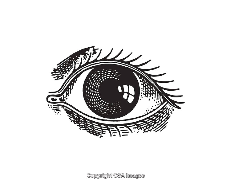 Black and White Artistic Line Art Illustration of a Human Eye