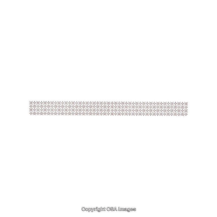 Seamless Decorative Border Design Featuring Repeated Floral Motifs in Muted Colors
