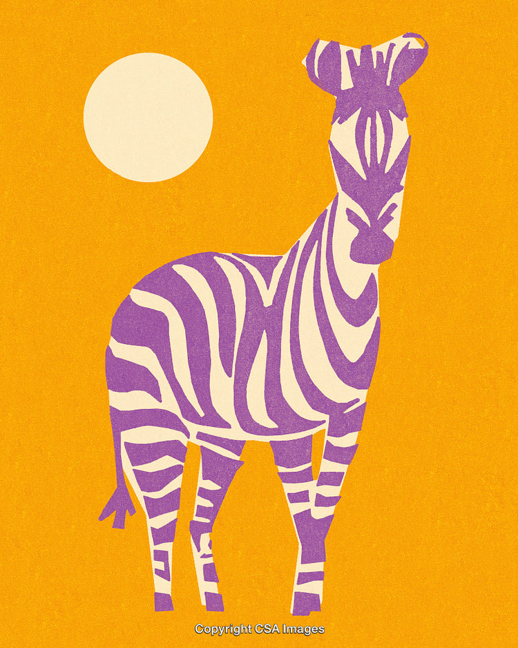Stylized Zebra Illustration With Bold Colors and Graphic Design Elements