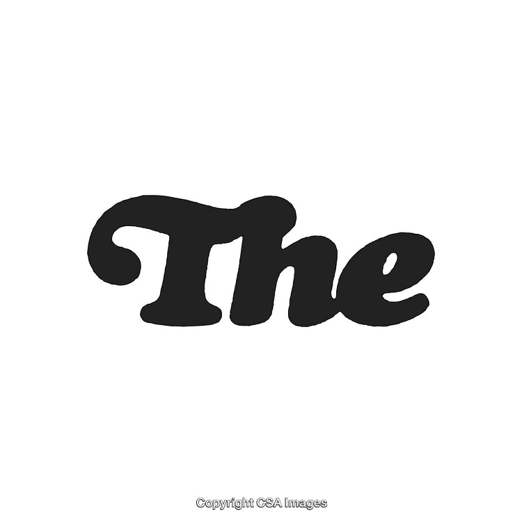 Stylized Retro Black Script Word 'The' on White Background