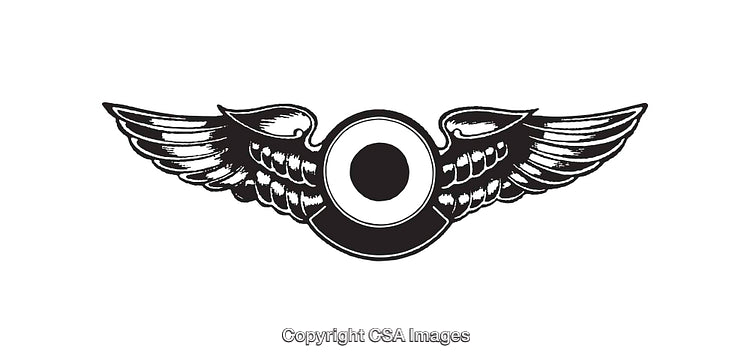 Black and White Winged Eye Illustration with Line Art Design