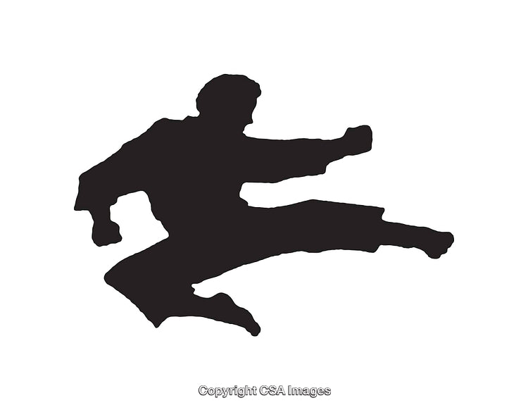 Black and White Silhouette of Martial Artist Performing High Kick