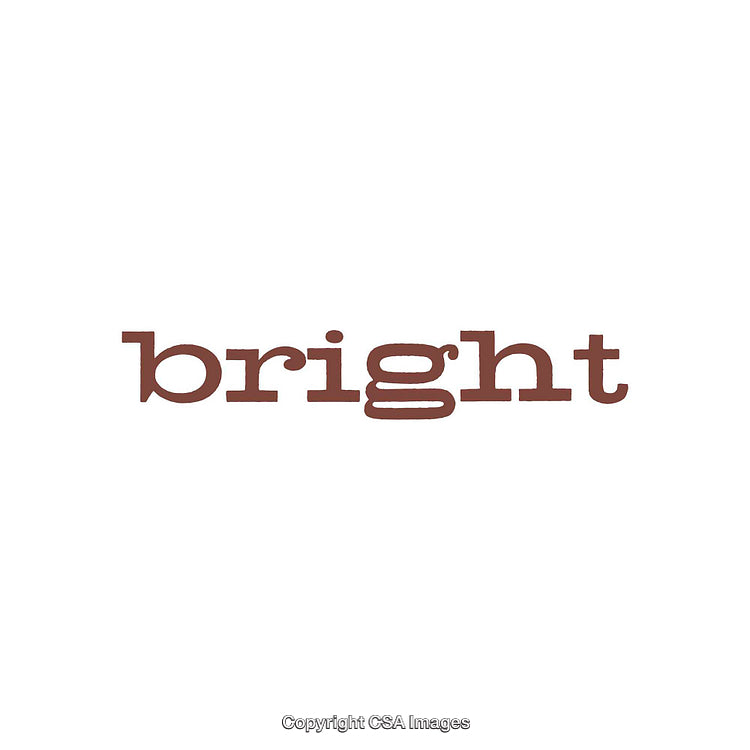 Minimalist Design Featuring the Word Bright in Stylish Font
