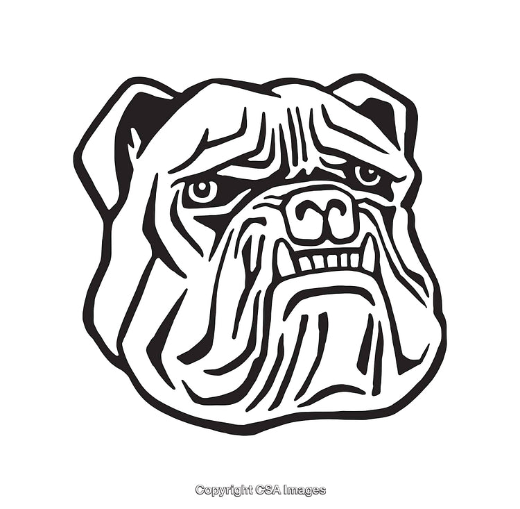 Black and White Line Art Illustration of a Bulldog Head