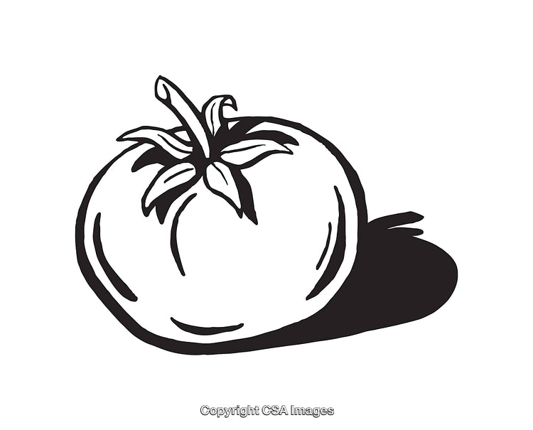 Black and White Line Art Illustration of a Tomato with Shadow