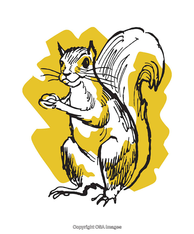 Colorful Illustration of a Squirrel Holding a Nut with Stylish Details