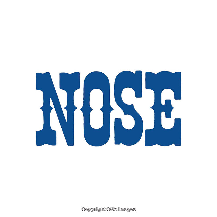 Bold Blue Retro Typeface Text Inscription on White Background