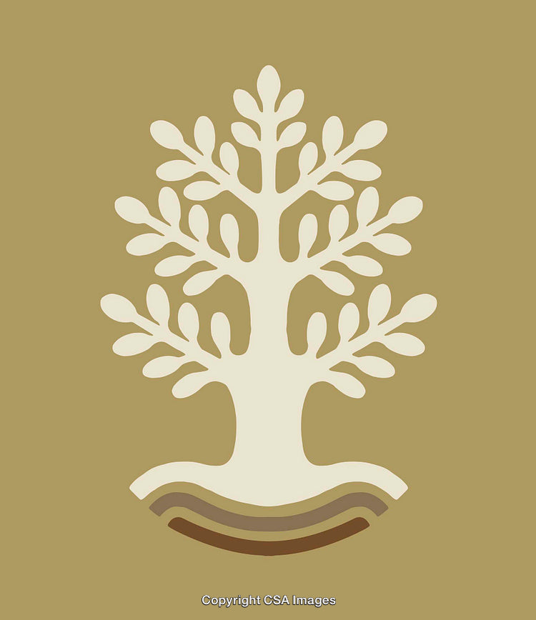 Minimalist Tree Illustration Representing Nature and Growth in Beige Tones