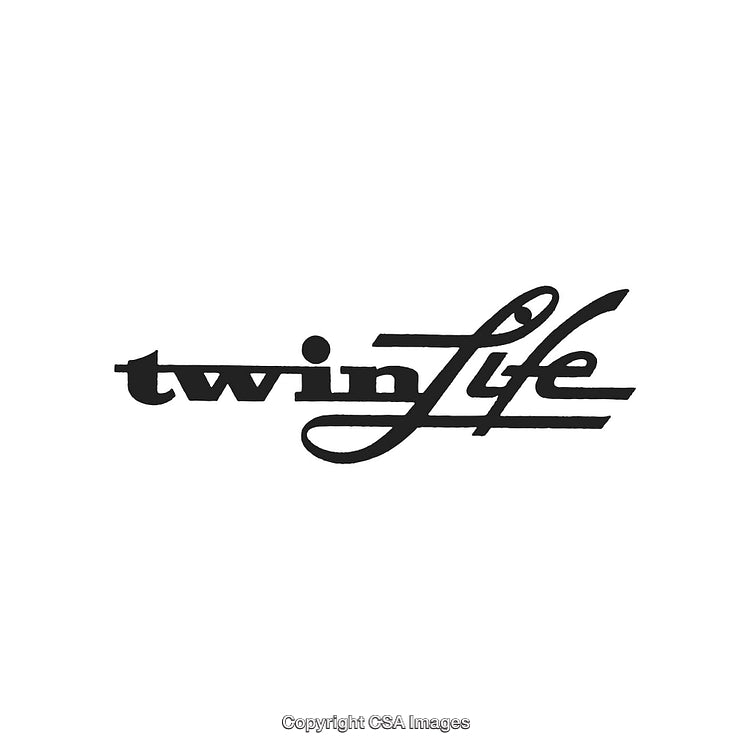 Stylized 'Twin Life' Text Design with Monochromatic Aesthetic