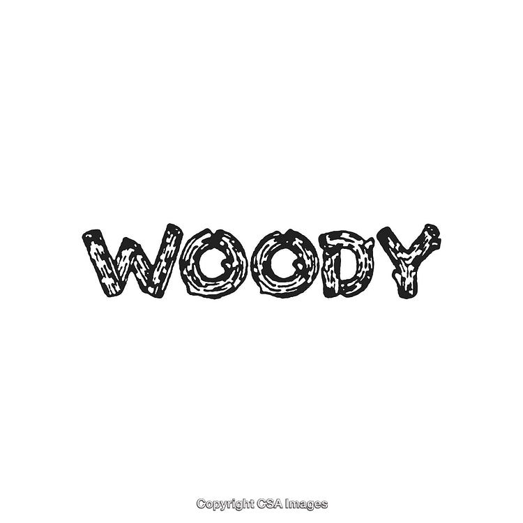 Bold Graphic Text Font Featuring Wooden Textured Letter Design