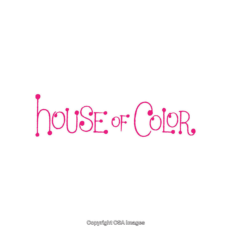Playful Pink Script Text Reading 'House of Color' on a White Background