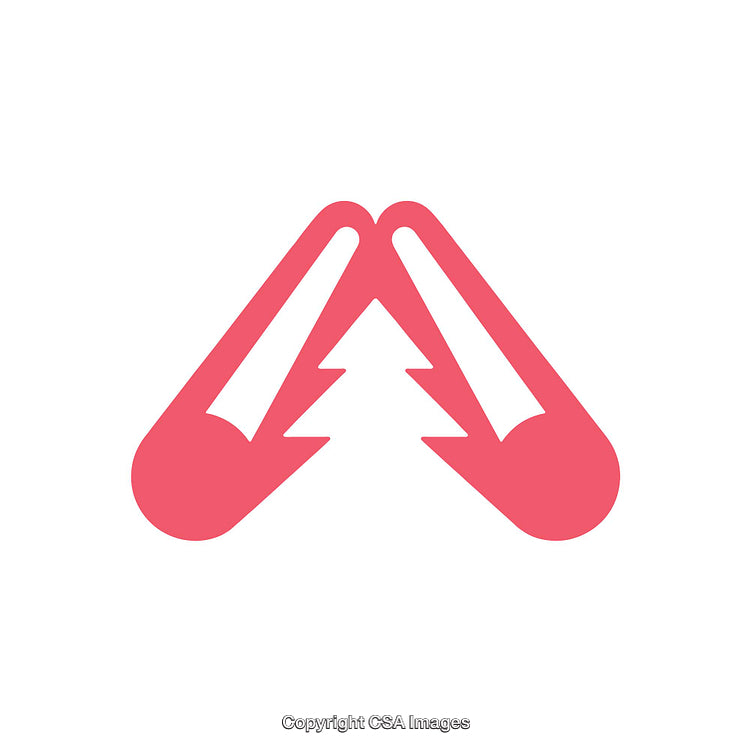 Minimalist Icon Featuring Triangle Symbol with Pine Tree Motif