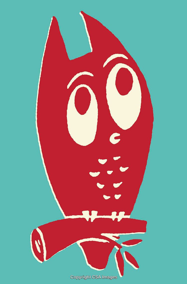 Whimsical Red Owl On Teal Branch Illustration in Minimalist Style