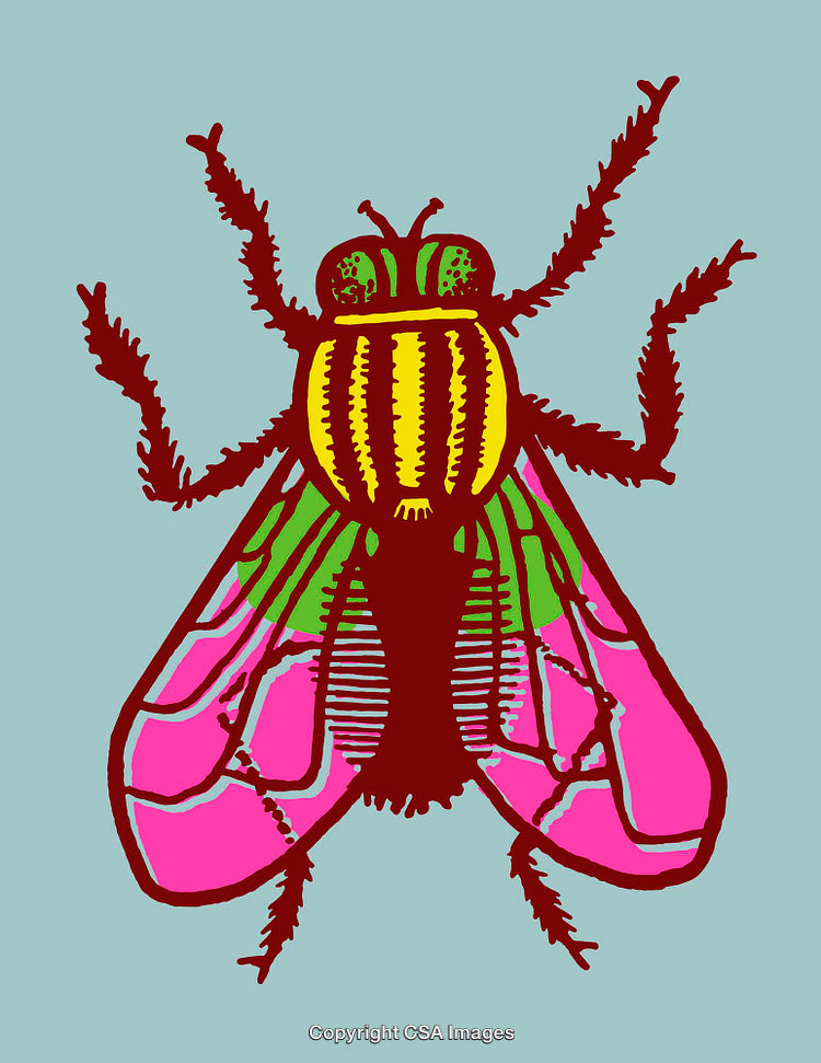 Colorful Line Art Illustration of a Vibrant Insect on a Blue Background