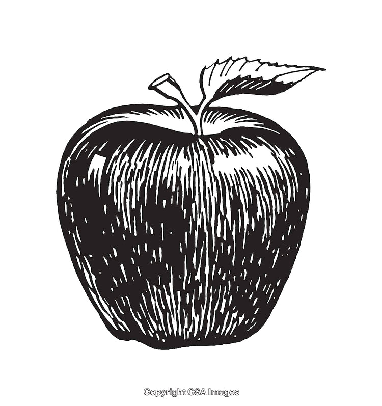 Black and White Illustration of an Apple with Detailed Line Art