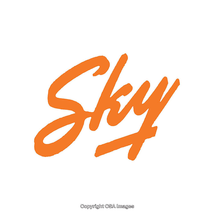 Bright Orange Brushstroke Text on Clean White Background