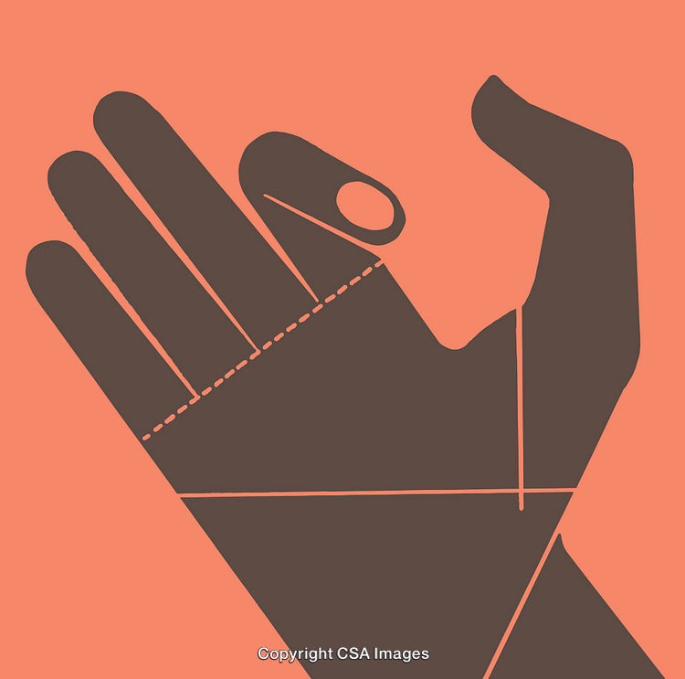 Stylized Illustration of a Hand with Line Art on a Colored Background