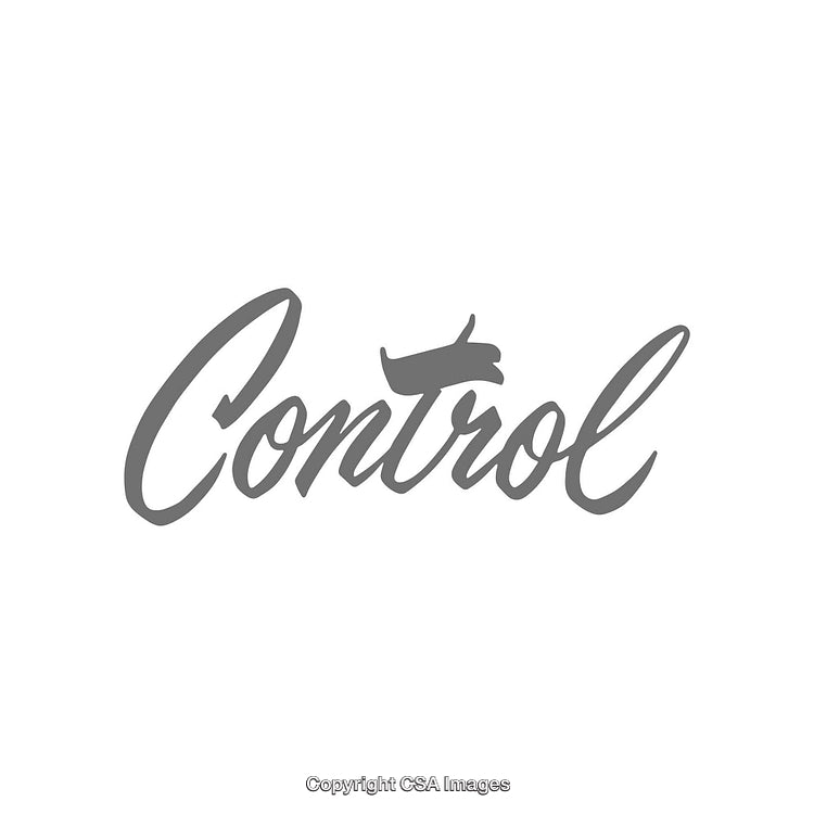 Elegant Monochrome Control Logo With Airplane Icon Incorporated