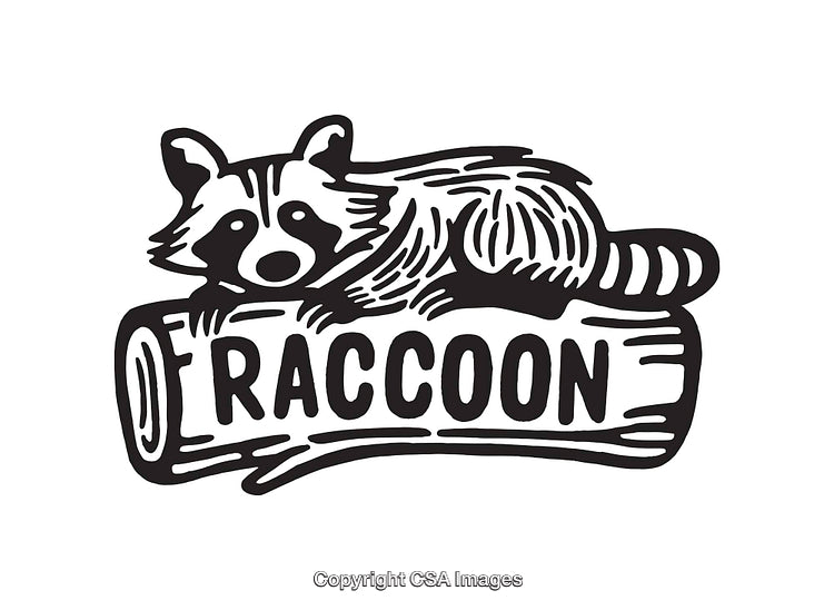 Black and White Illustration of a Raccoon Reclining on a Log