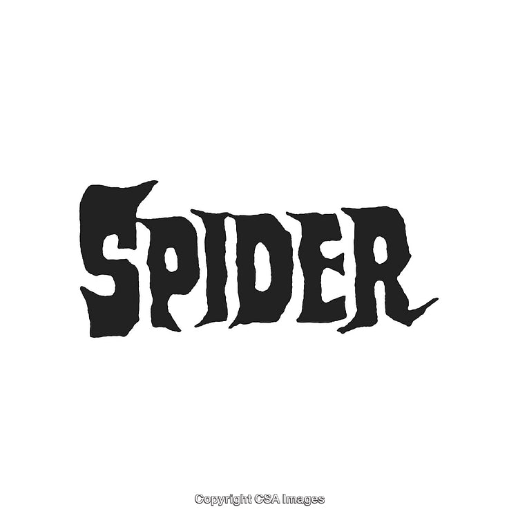 Creative Black Spider Text Logo Design Featuring Distinctive Typography on White Background