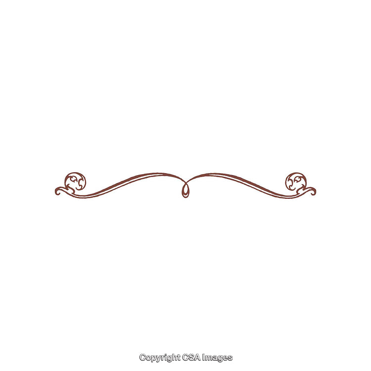 Elegant Decorative Divider Line with Vintage Ornamental Flourish Design