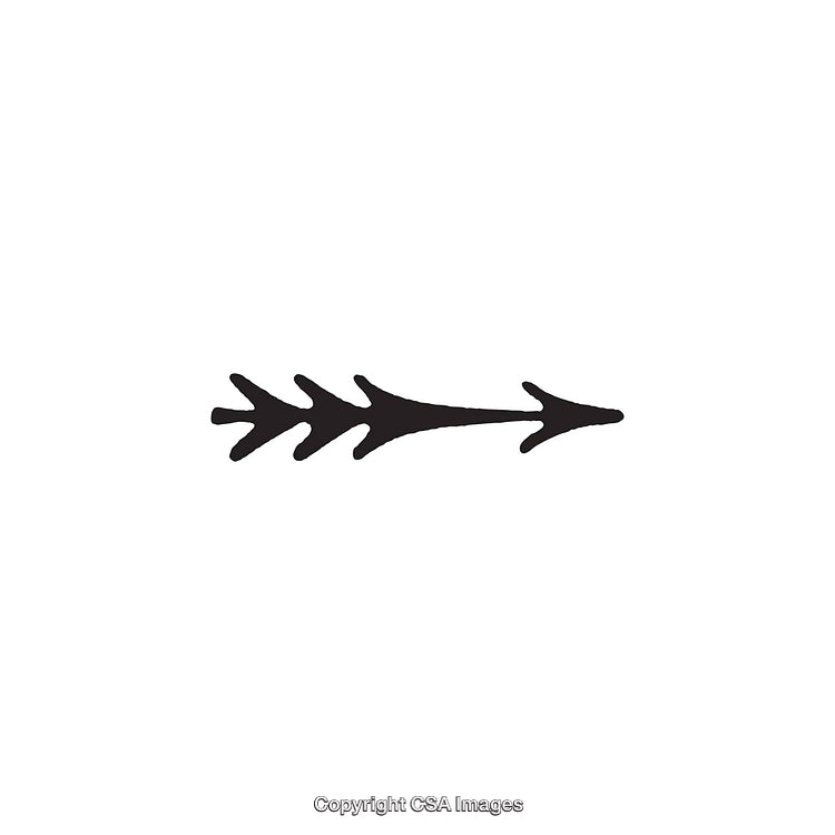 Black And White Abstract Arrow Design with Unique Decorative Style