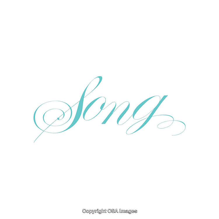 Artistic Calligraphy Featuring the Word 'Song' in Elegant Blue Script