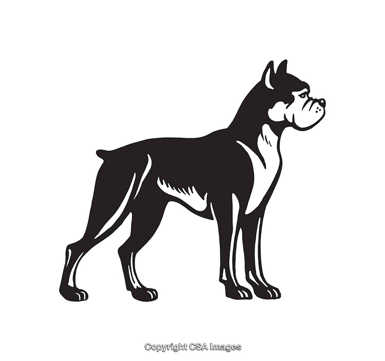 Black and White Boxer Dog Silhouette Illustration Featuring Standing Pose