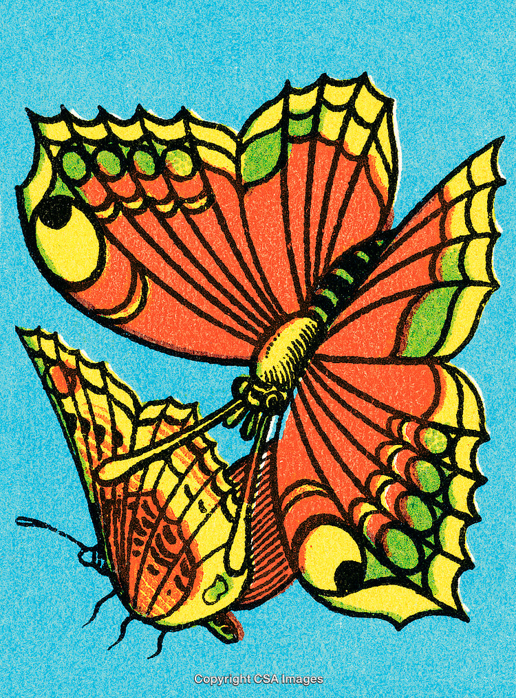 Colorful Butterflies with Vibrant Patterns on a Bright Blue Background