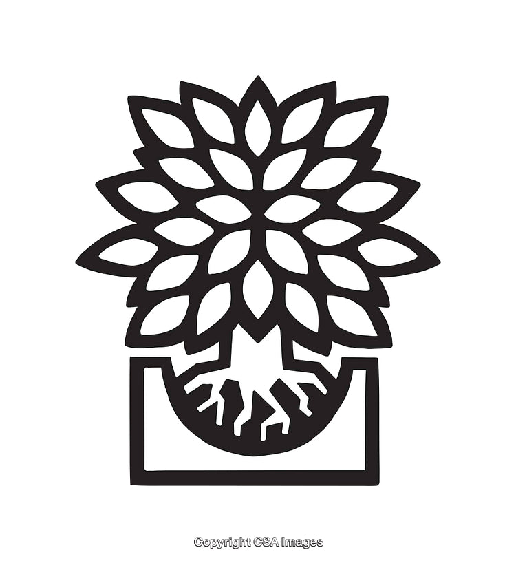Stylized Line Art Illustration of a Flower with Roots in a Pot