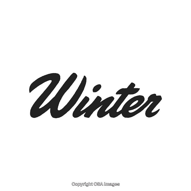 Elegant Winter Calligraphy Logo in Stylish Black Text on White Background