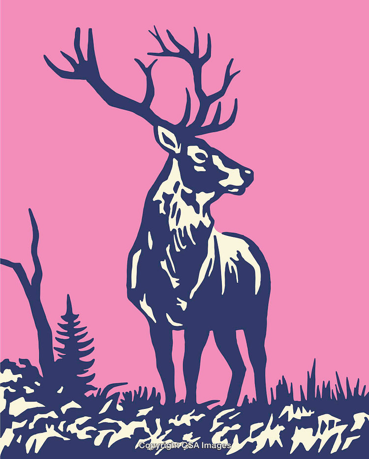 Colorful Silhouette of Deer with Antlers in a Nature-Inspired Minimalistic Design