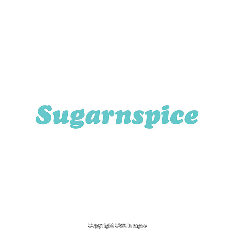 Minimalist Turquoise Sugarnspice Text on White Background
