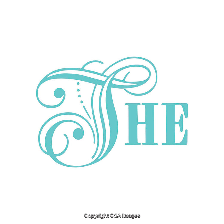 Elegant Turquoise Ornamental Script Illustration on White Background